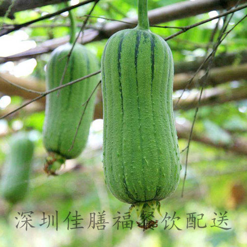 水瓜-瓜果配送
