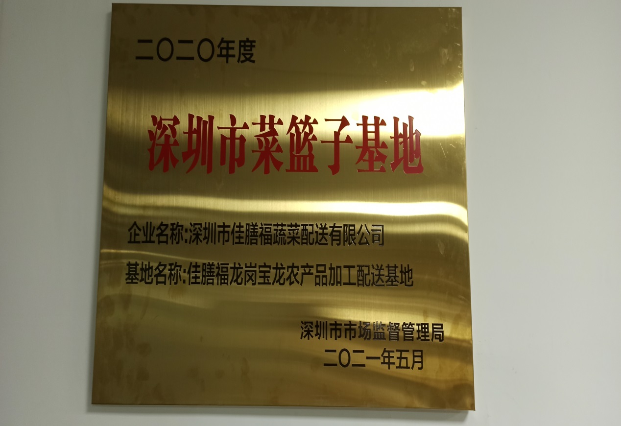 市“菜蓝子”基地