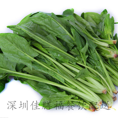 菠菜-蔬菜配送