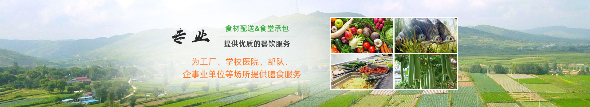 某某蔬菜配送有限公司-服务范围banner