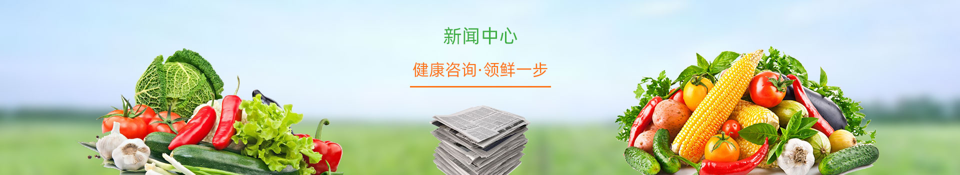 某某蔬菜配送有限公司-最新动态banner