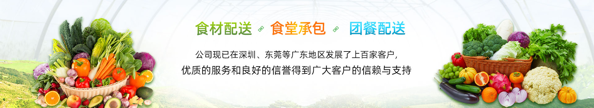 某某蔬菜配送有限公司